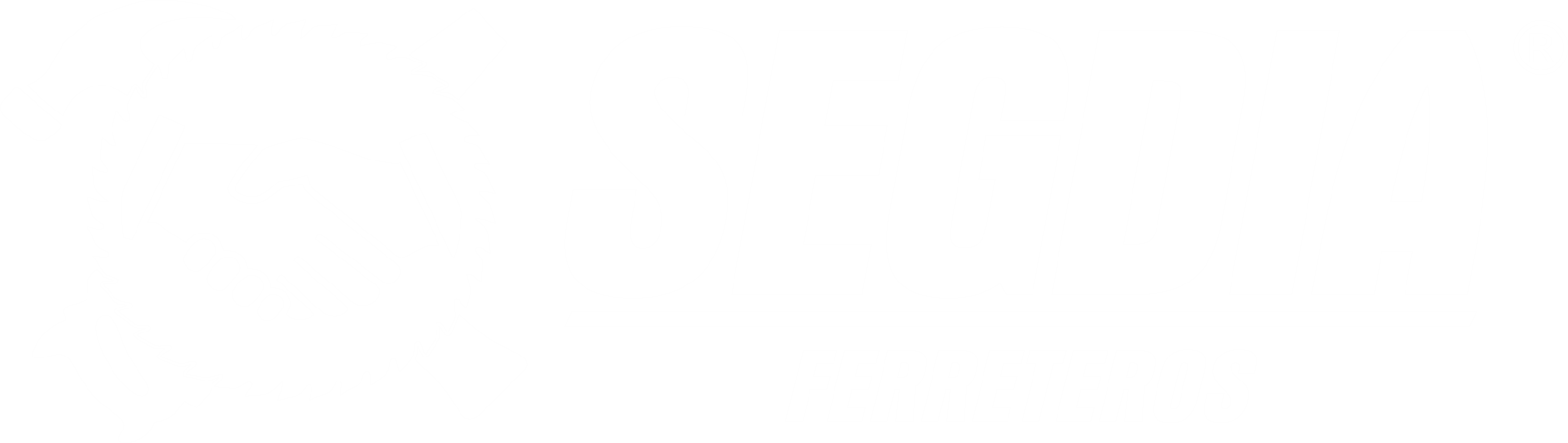 SEGDIA – Nuestra prioridad es usted
